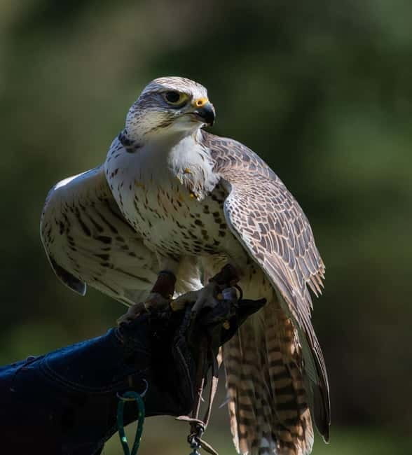 From Windermere: Mountain Passes & Muncaster Castle - Scenic Drive Back and Final Impressions