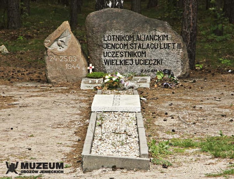From Wrocaw: Stalag Luft 3 Great Escape Tour - Final Thoughts: Who Should Book This Tour?