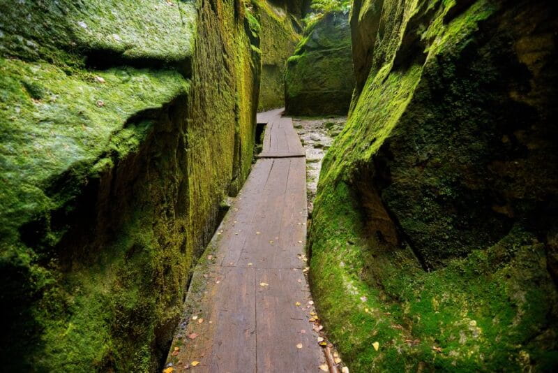 From Wroclaw: Hiking Trail in Rock City Adrspach - Who Will Love This Tour?