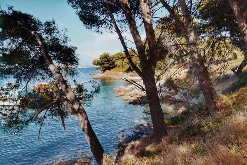 From Zadar: Adriatic Sea & Island Sailing Adventure - Price, Logistics, and Practical Tips