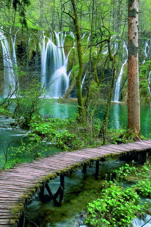 From Zadar: Plitvice Lakes Day Tour - Navigating the Park: What to Expect