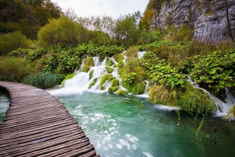 From Zadar: Plitvice Lakes Day Tour - The Experience Provider and Overall Value
