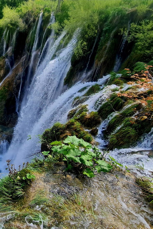 From Zadar: Plitvice Lakes Day Trip with Guide and Boat Tour - The Heart of the Experience: A Complete Breakdown