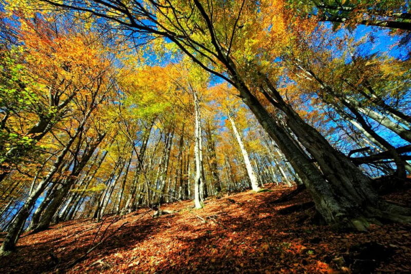 From Zadar: Plitvice Lakes National Park Day Trip +Boat Ride - FAQ