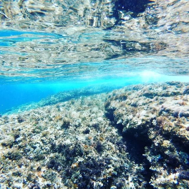 From Zadar: Private Sports Sailing Tour - Inclusions