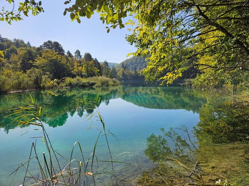 From Zadar: Scenic Private Tour of Plitvice Lakes - Who Will Love This Tour?