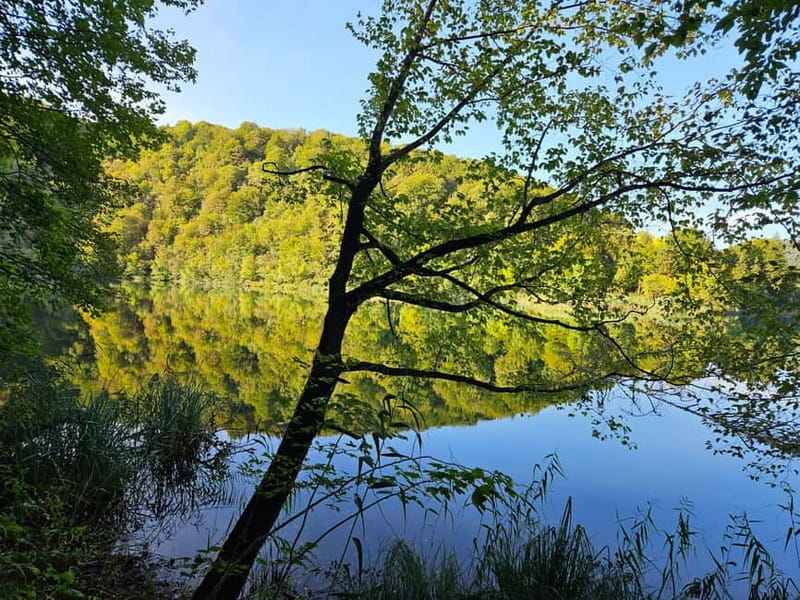 From Zadar: Scenic Private Tour of Plitvice Lakes - Price and Value—Is It Worth It?