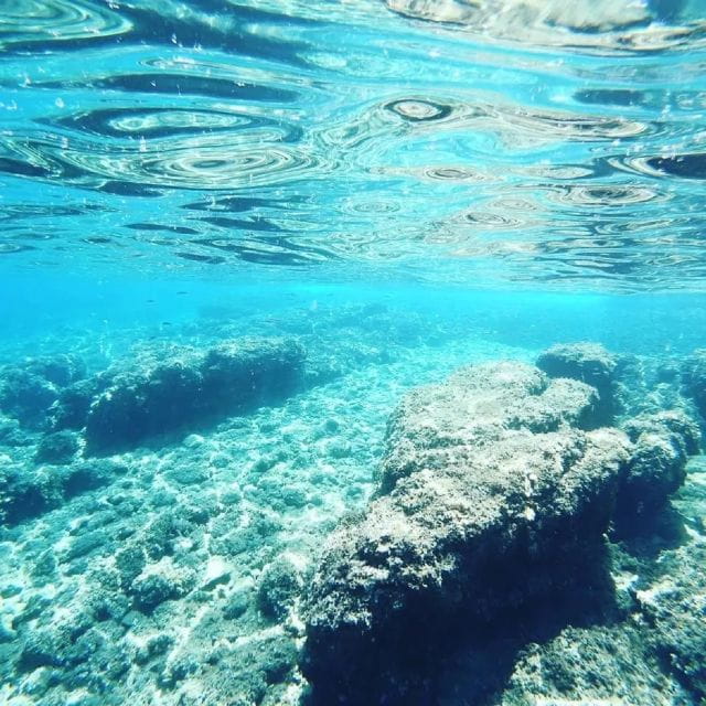 From Zadar: Sports Sailing Tour With Swimming Breaks - Experience Highlights