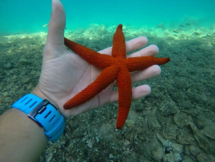 From Zadar: Sports Sailing Tour With Swimming Breaks - Itinerary Details