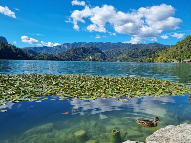 From Zagreb: Highlights Day Tour to Bled and Ljubljana - A Full Breakdown of the Experience