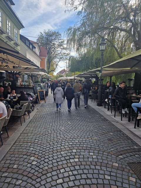 From Zagreb: Ljubljana and Lake Bled Private Day Tour - A Comprehensive Look at the Experience