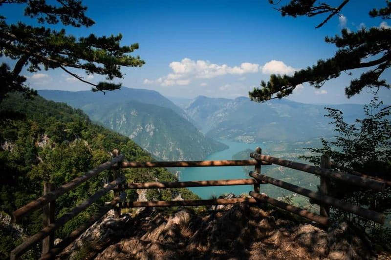 From Zlatibor/Uice: Mokra Gora & Tara National Park - Key Points / Takeaways