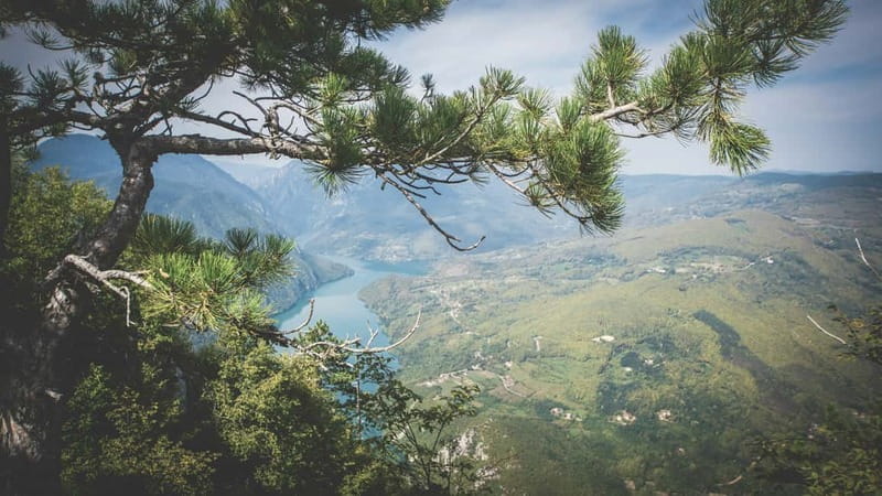 From Zlatibor/Uice: Tara National Park - Private Tour - Key Points / Takeaways