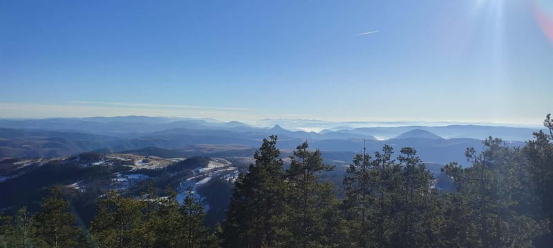 From Zlatibor/Uice: Tara National Park - Private Tour - FAQs