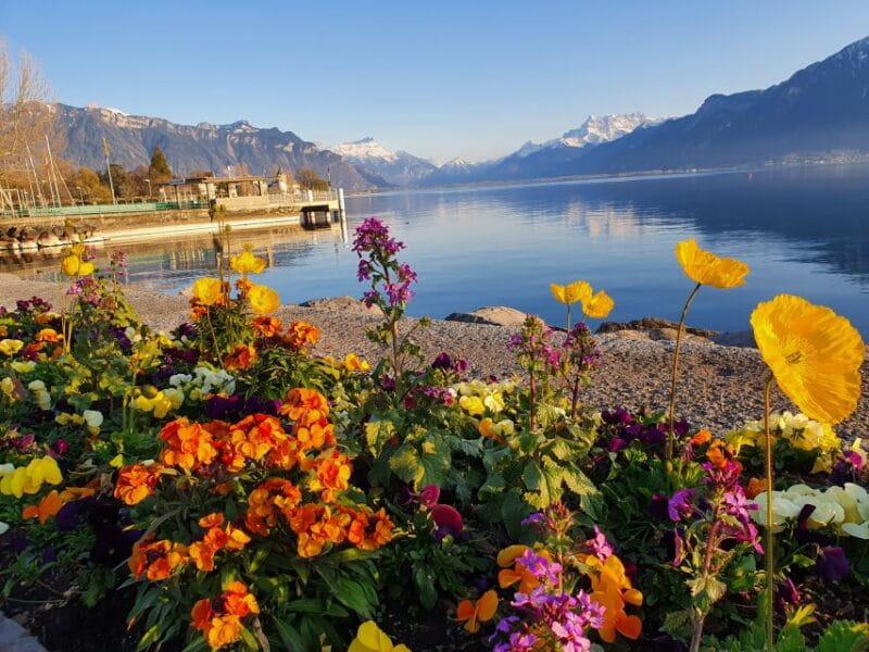 From Zurich: 7-Day Tour to Geneva with Tickets and Lodging - Who Will Love This Tour?