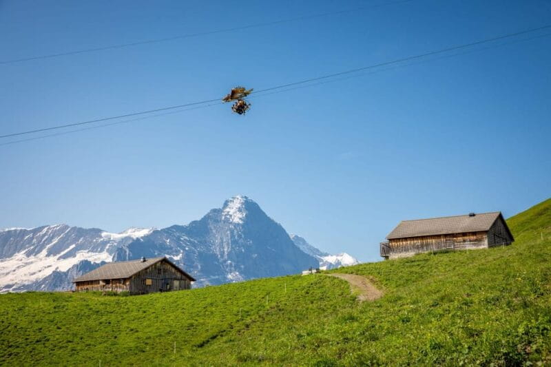 From Zurich: Grindelwald First Cable Car & Interlaken - Practical Tips for Making the Most of Your Day