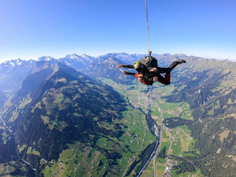 From Zurich: Interlaken Skydiving & Scenic Flight Adventure - Who Will Love This Tour?