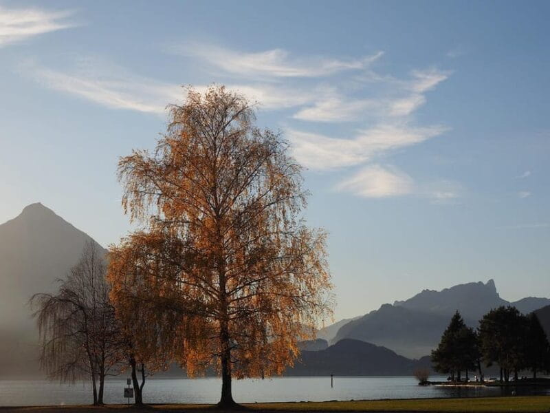 From Zurich: Private Interlaken and Grindelwald Car Tour - Interlaken: Lake Views and Swiss Charm