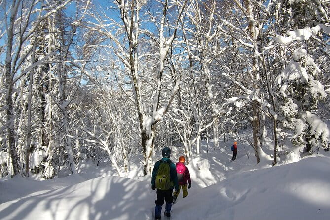 Frozen Fall Trekking - Professional Guidance and Necessary Equipment: Your Safety Is Our Priority