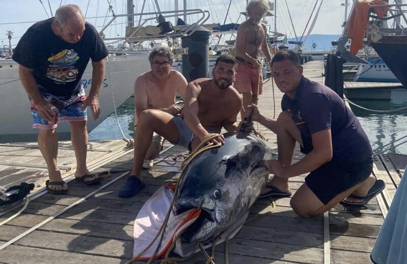 Fuengirola: 4h Trolling Fishing Trip with Snacks and Drinks - What Makes the Experience Special?