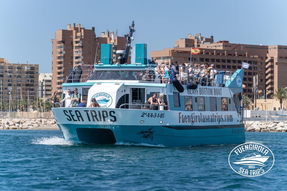 Fuengirola: Catamaran Tour to Spot Dolphins - Key Points
