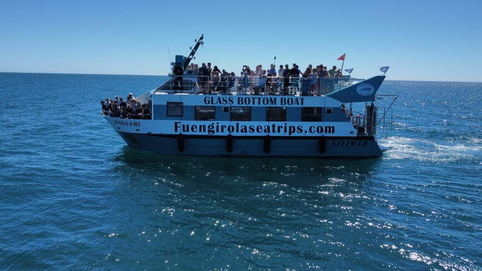 Fuengirola: Catamaran Tour to Spot Dolphins - Dolphin Sightings