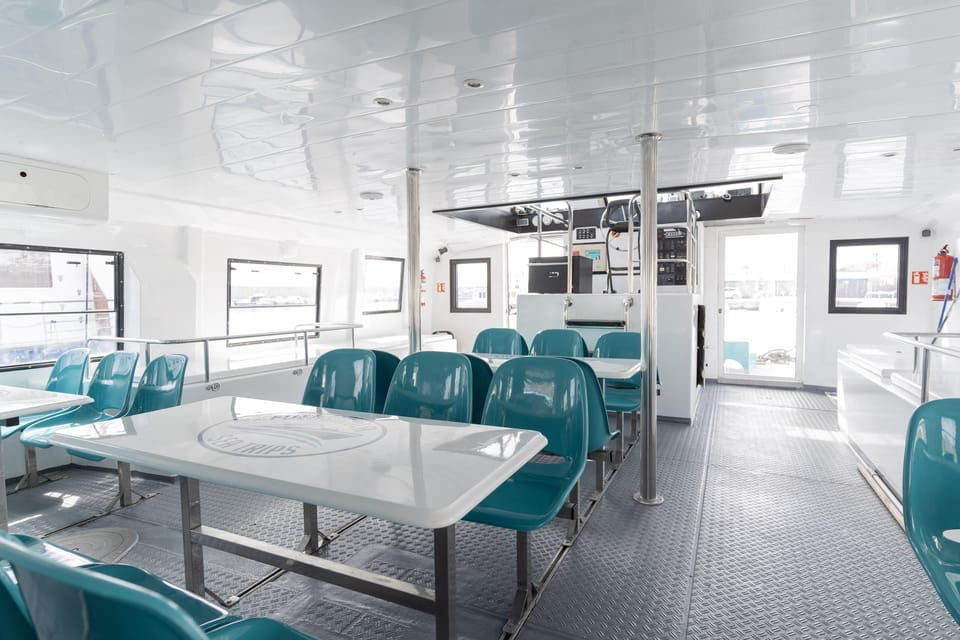 Fuengirola: Catamaran Tour to Spot Dolphins - Onboard Amenities