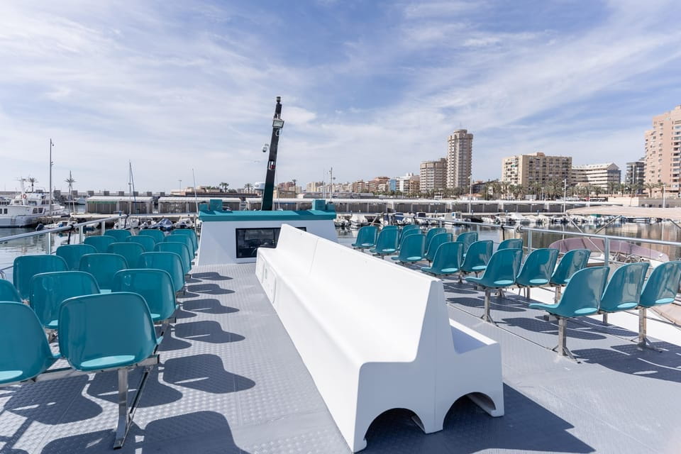 Fuengirola: Catamaran Tour to Spot Dolphins - Accessibility