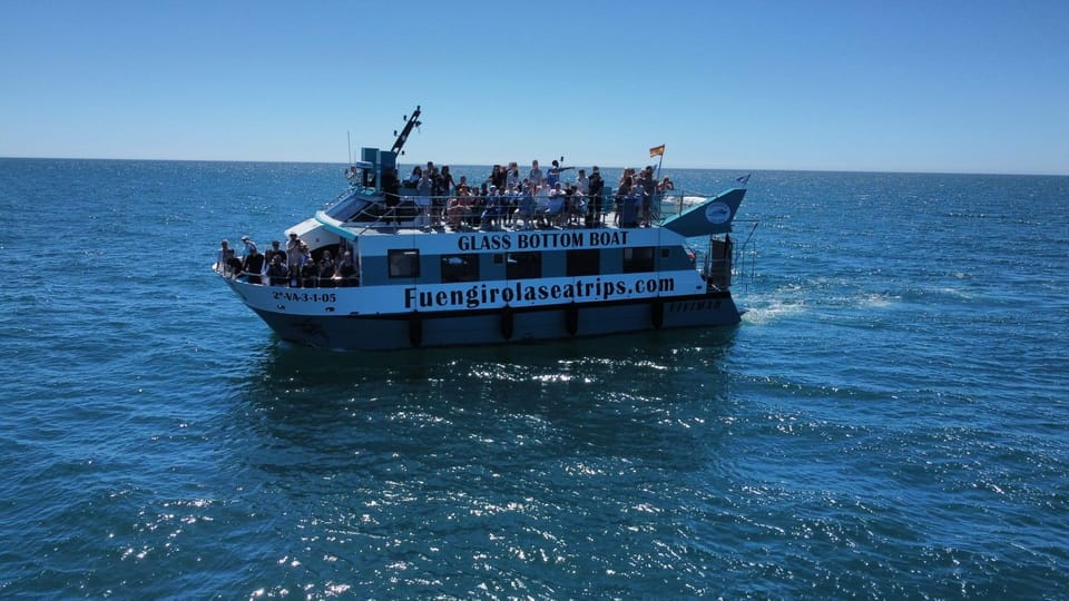 Fuengirola: Catamaran Tour to Spot Dolphins - What to Bring