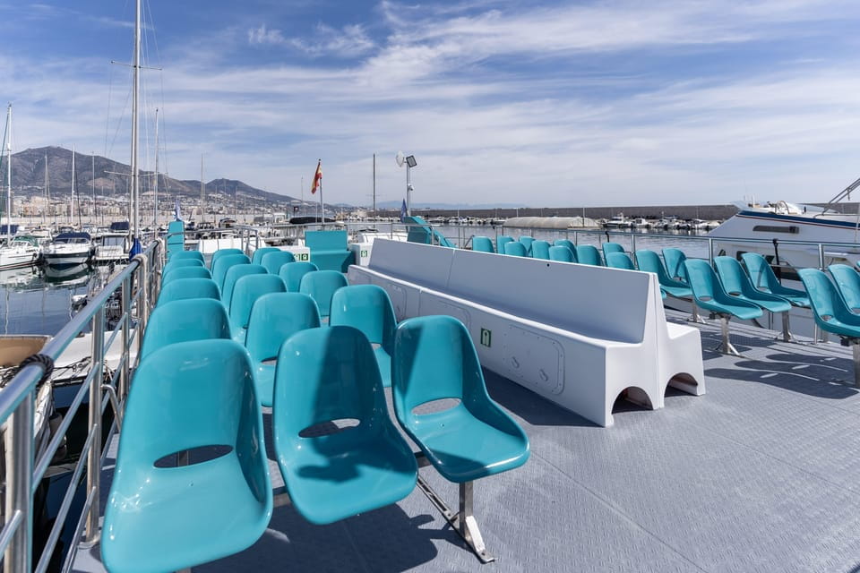 Fuengirola: Catamaran Tour to Spot Dolphins - Things To Know