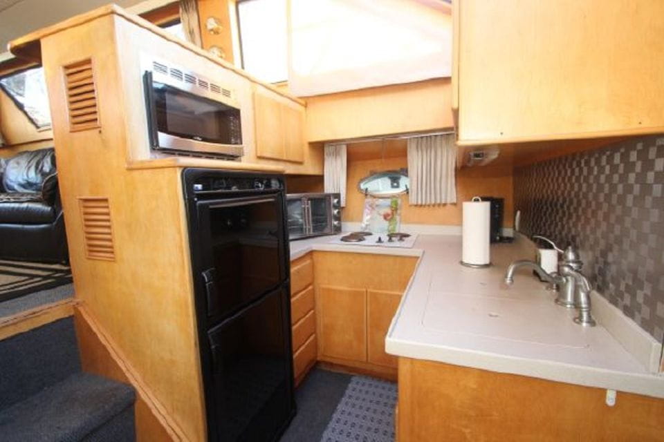 Fuengirola: Dolphin Spotting Yacht Tour With Drinks & Snacks - Experience Highlights