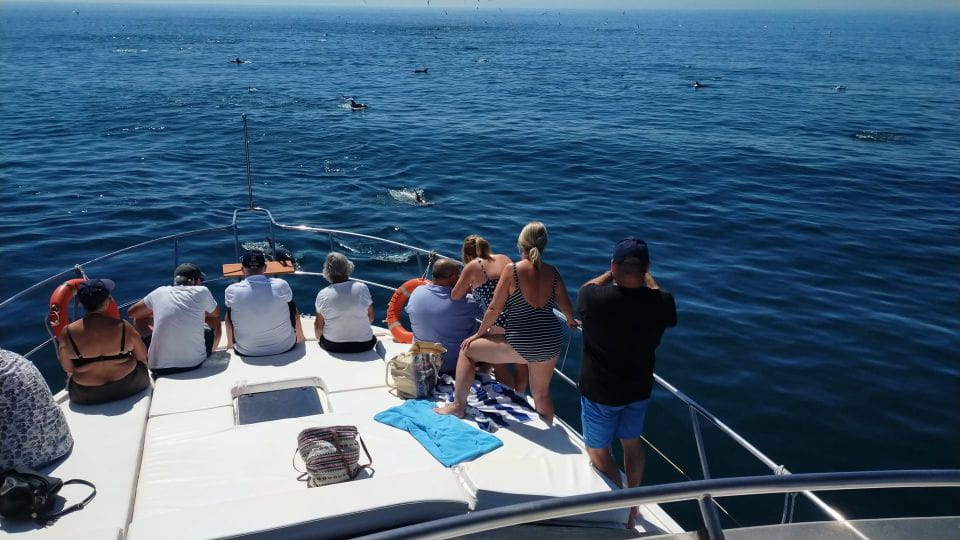 Fuengirola: Dolphin Spotting Yacht Tour With Drinks & Snacks - Inclusions and Amenities