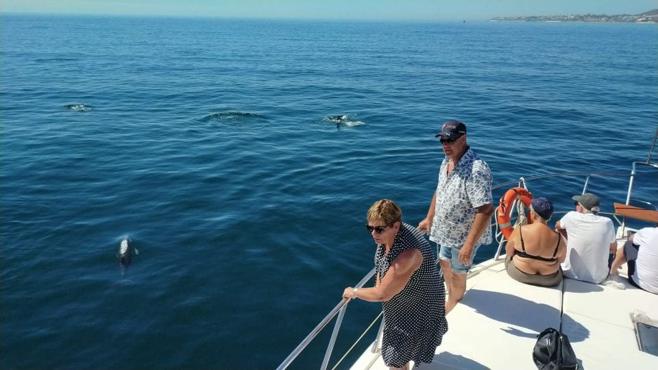 Fuengirola: Dolphin Spotting Yacht Tour With Drinks & Snacks - Dolphin Spotting Expectations