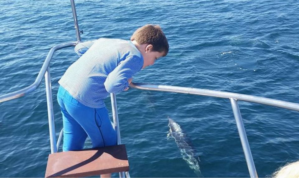 Fuengirola: Dolphin Spotting Yacht Tour With Drinks & Snacks - Tips for a Great Experience