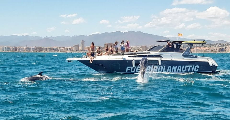 Fuengirola: Dolphin Watching by Yacht With Snacks and Drinks - What to Bring