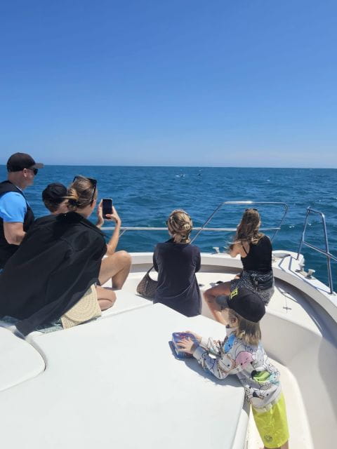 Fuengirola: Dolphin Watching Excursion With Refreshments - Important Considerations