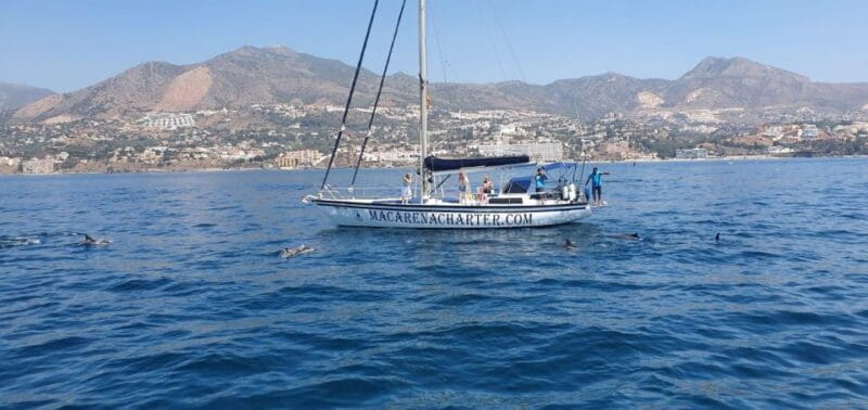 Fuengirola: Dolphin-Watching Sailing Tour with Drinks - Key points / Takeaways