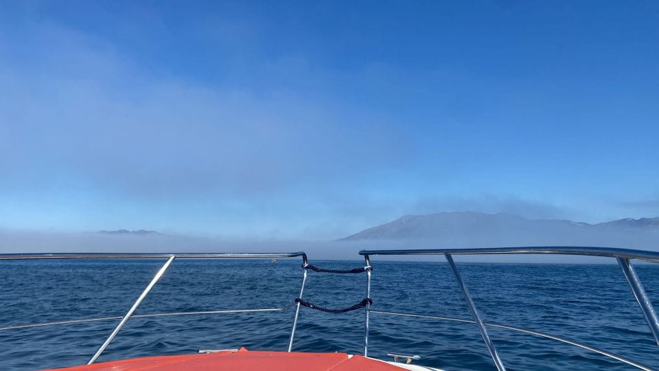 Fuengirola: Fantastic Dolphin Watching Yacht Tour - Important Information