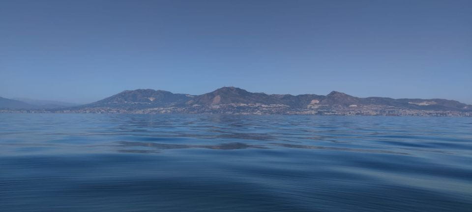 Fuengirola: Fantastic Dolphin Watching Yacht Tour - What to Bring