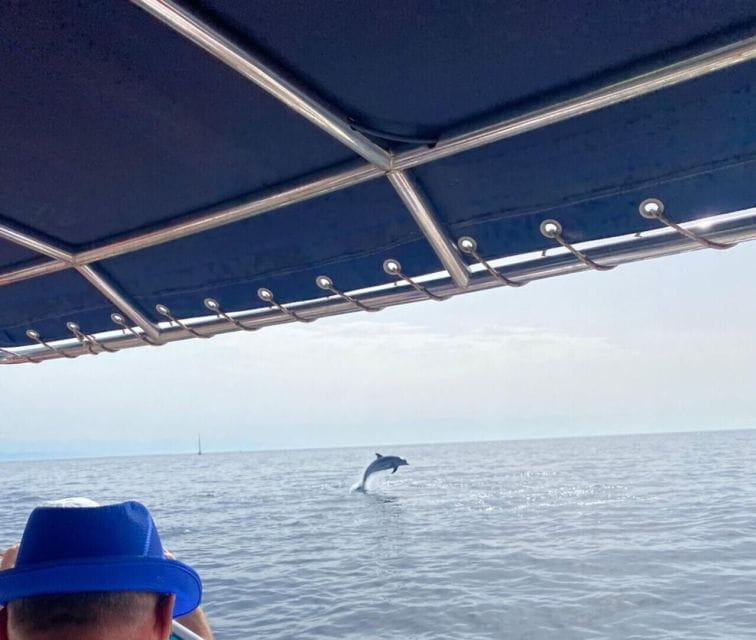 Fuengirola: Fantastic Dolphin Watching Yacht Tour - Tips for a Great Experience