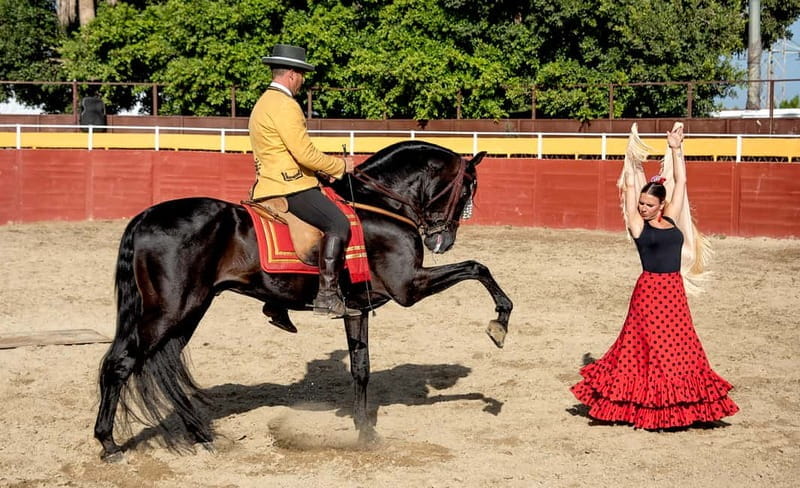 Fuengirola: Spanish Horse Show with Optional Dinner/Flamenco - Key Points / Takeaways