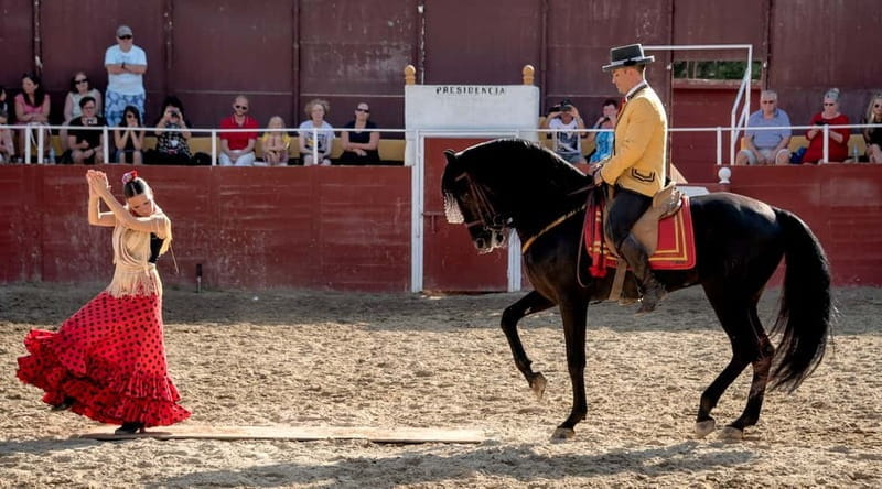 Fuengirola: Spanish Horse Show with Optional Dinner/Flamenco - Who Will Appreciate This Experience?