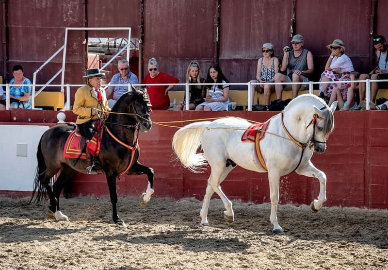 Fuengirola: Spanish Horse Show with Optional Dinner/Flamenco - Final Thoughts: Is It Worth It?