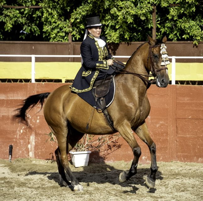Fuengirola: Spanish Horse Show With Optional Dinner/Flamenco - Schedule and Logistics