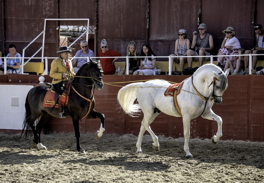 Fuengirola: Spanish Horse Show With Optional Dinner/Flamenco - Customer Feedback and Ratings