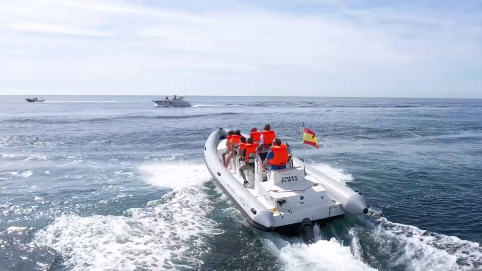 Fuengirola: Speedboat & Encounter Dolphins - Tips for a Great Experience