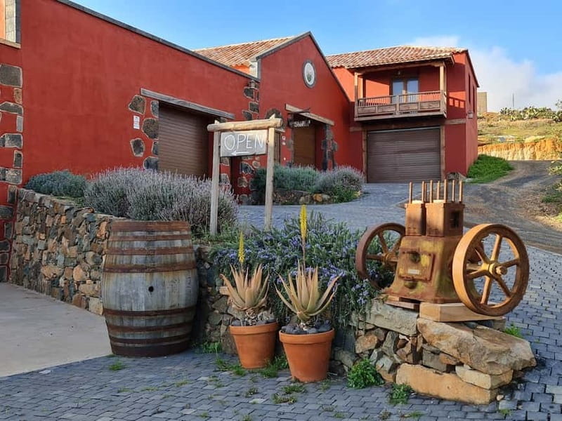 Fuerteventa: Ajuy Pirate Caves & Aloe Factory Half-Day Trip - A Natural and Cultural Snapshot of Fuerteventura