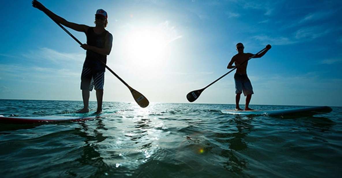 Fuerteventura: 1.5-Hour SUP Course - Caleta De Fuste - Key Points