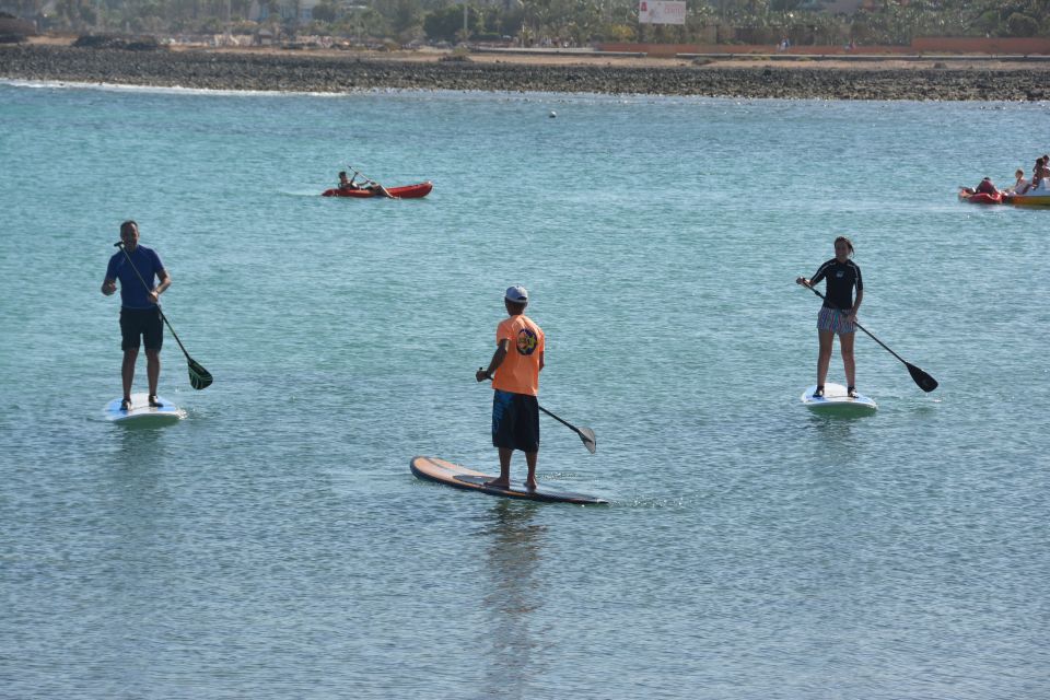 Fuerteventura: 1.5-Hour SUP Course - Caleta De Fuste - Course Structure