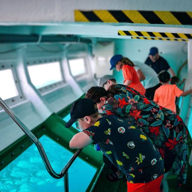 Fuerteventura: 1-Hour Mini Swim & Snorkel Cruise - Inclusions and Exclusions